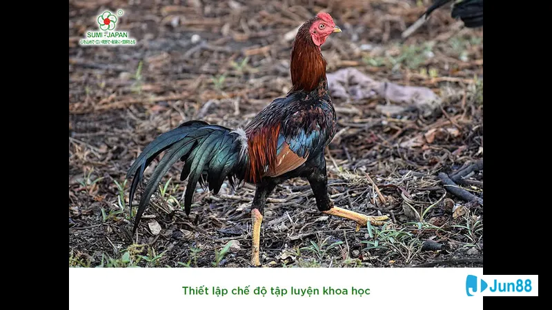 Đá mé bên bờ sông Đá mé bên bờ sông